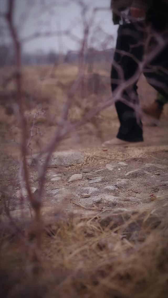 红果短剧｜我马上要在塔寨称王了